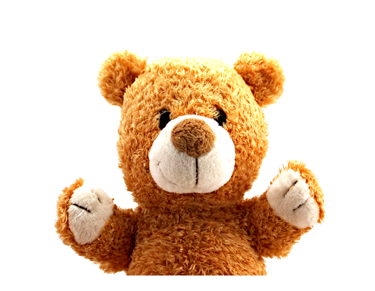 Teddy Bear PNG Best Image pngteam.com