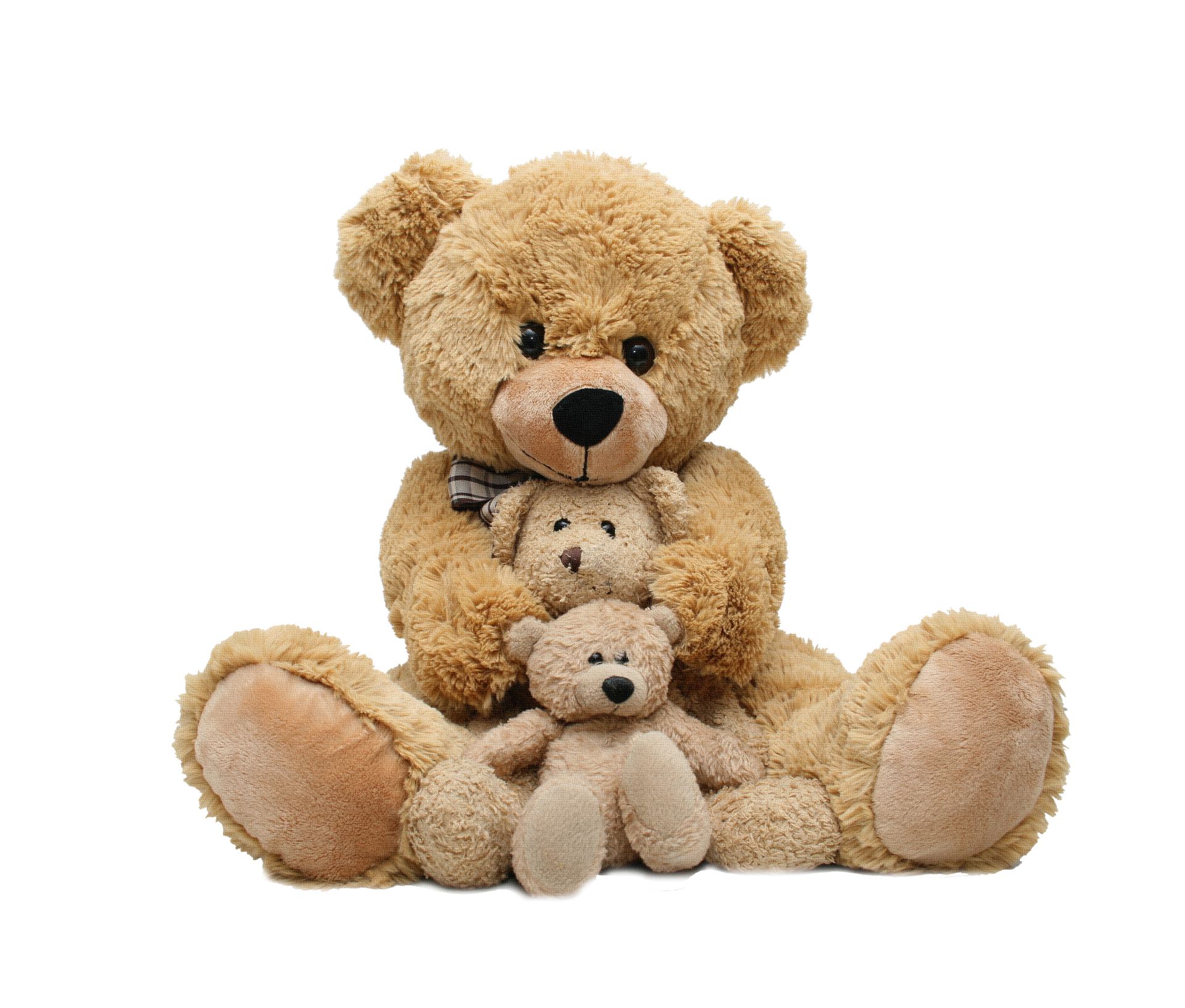 Teddy Bear Family PNG pngteam.com