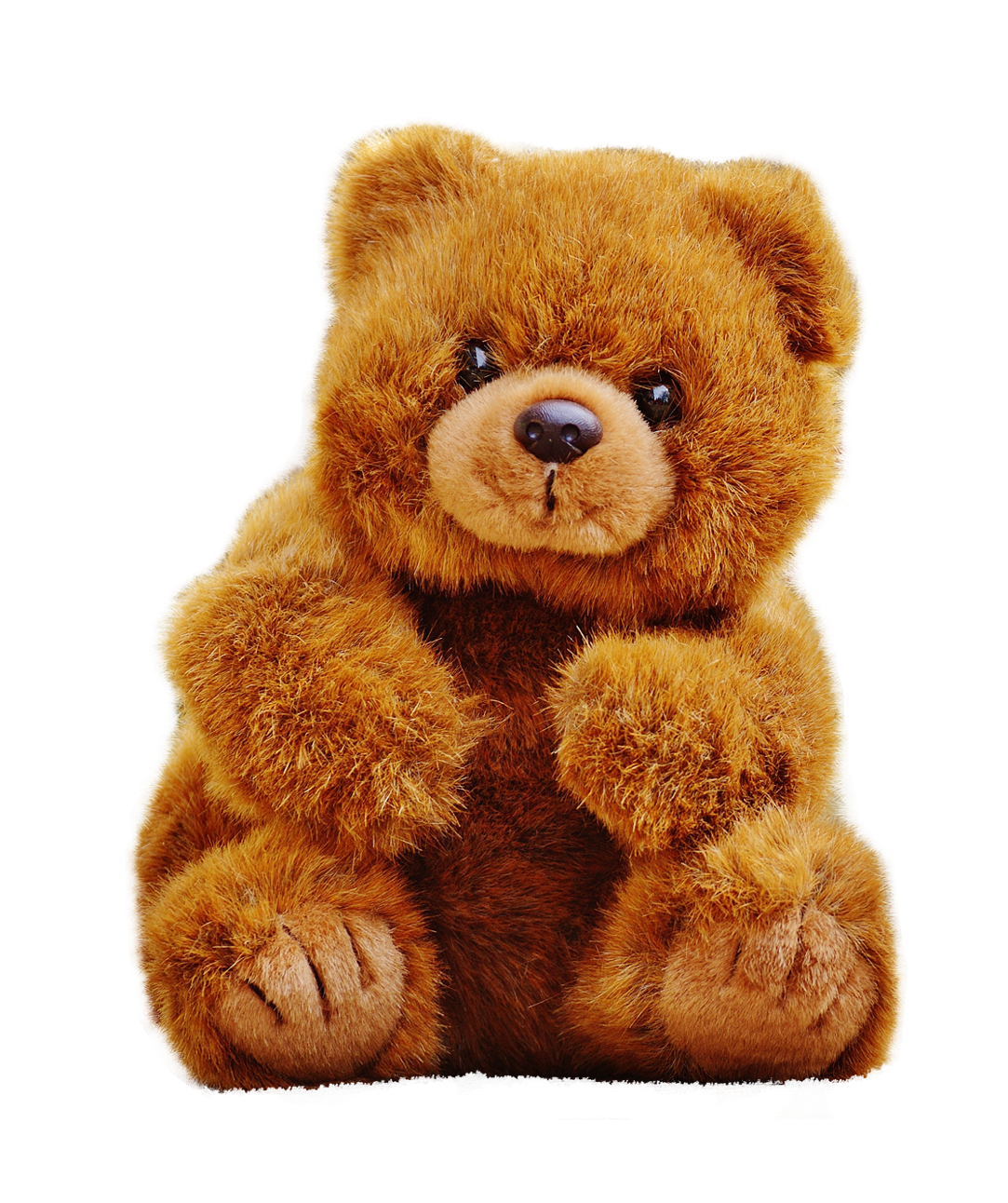 Teddy Bear PNG File pngteam.com