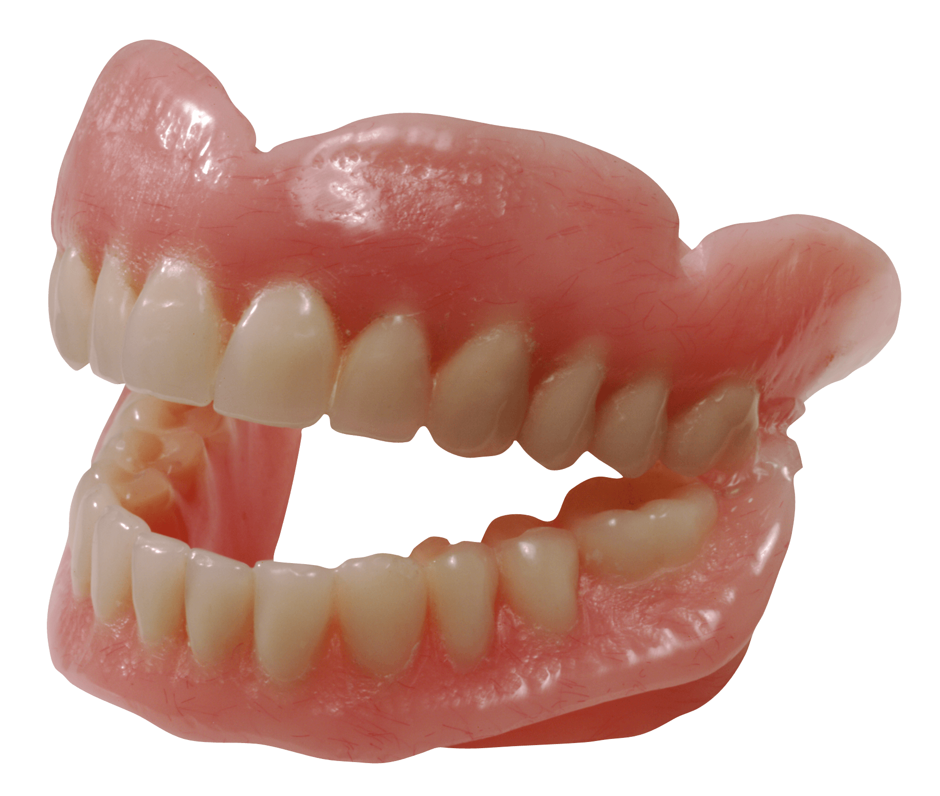 Teeth PNG HD and HQ Image pngteam.com