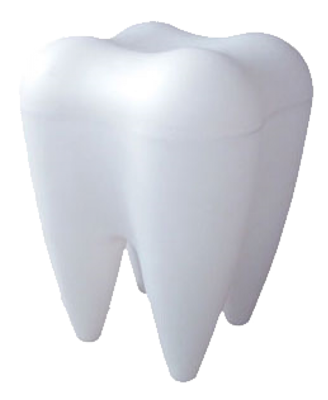 Teeth PNG Image in High Definition pngteam.com