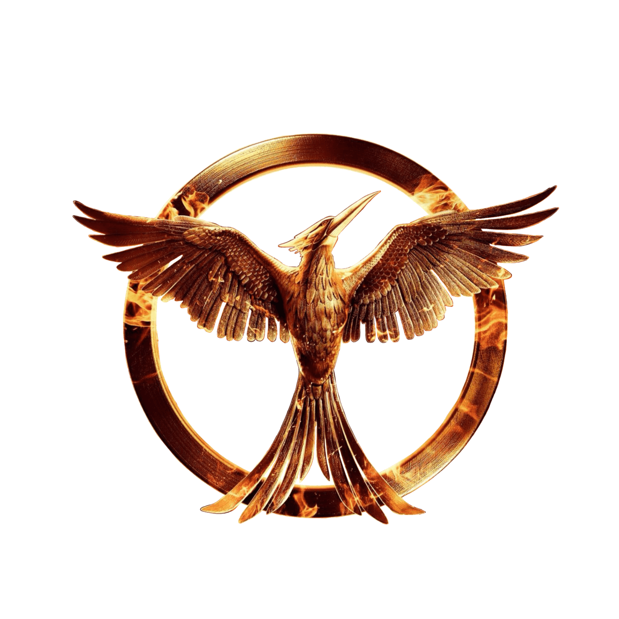 The Hunger Games PNG HD and HQ Image pngteam.com