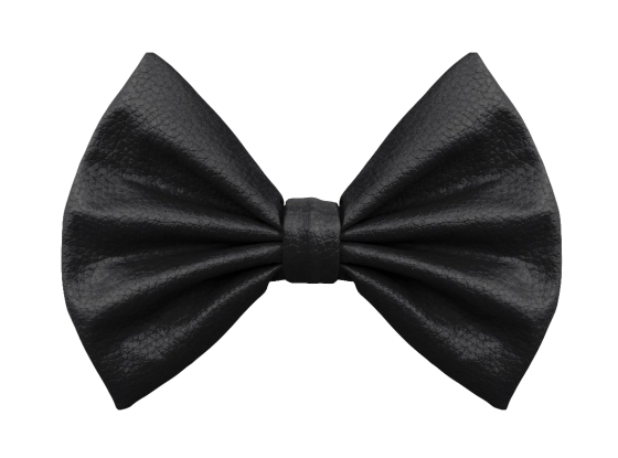 Bow Tie PNG in Transparent pngteam.com