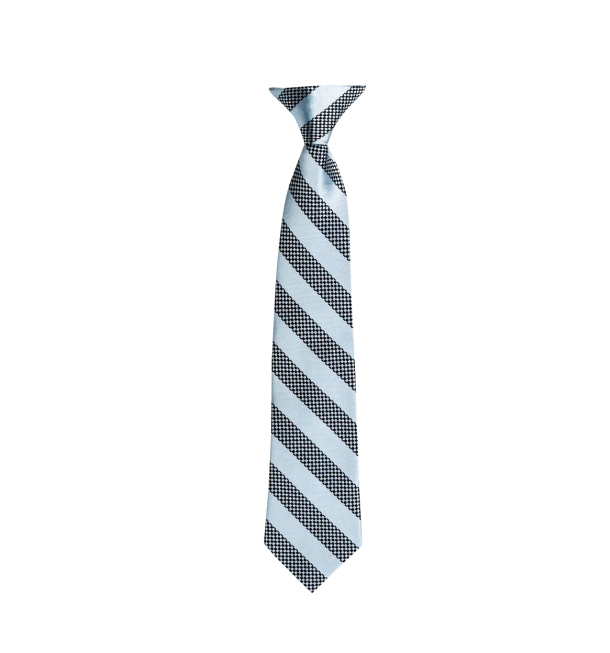 Tie PNG in Transparent