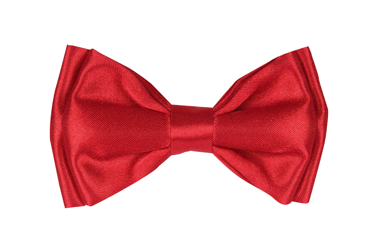 Tie Bow PNG Picture pngteam.com