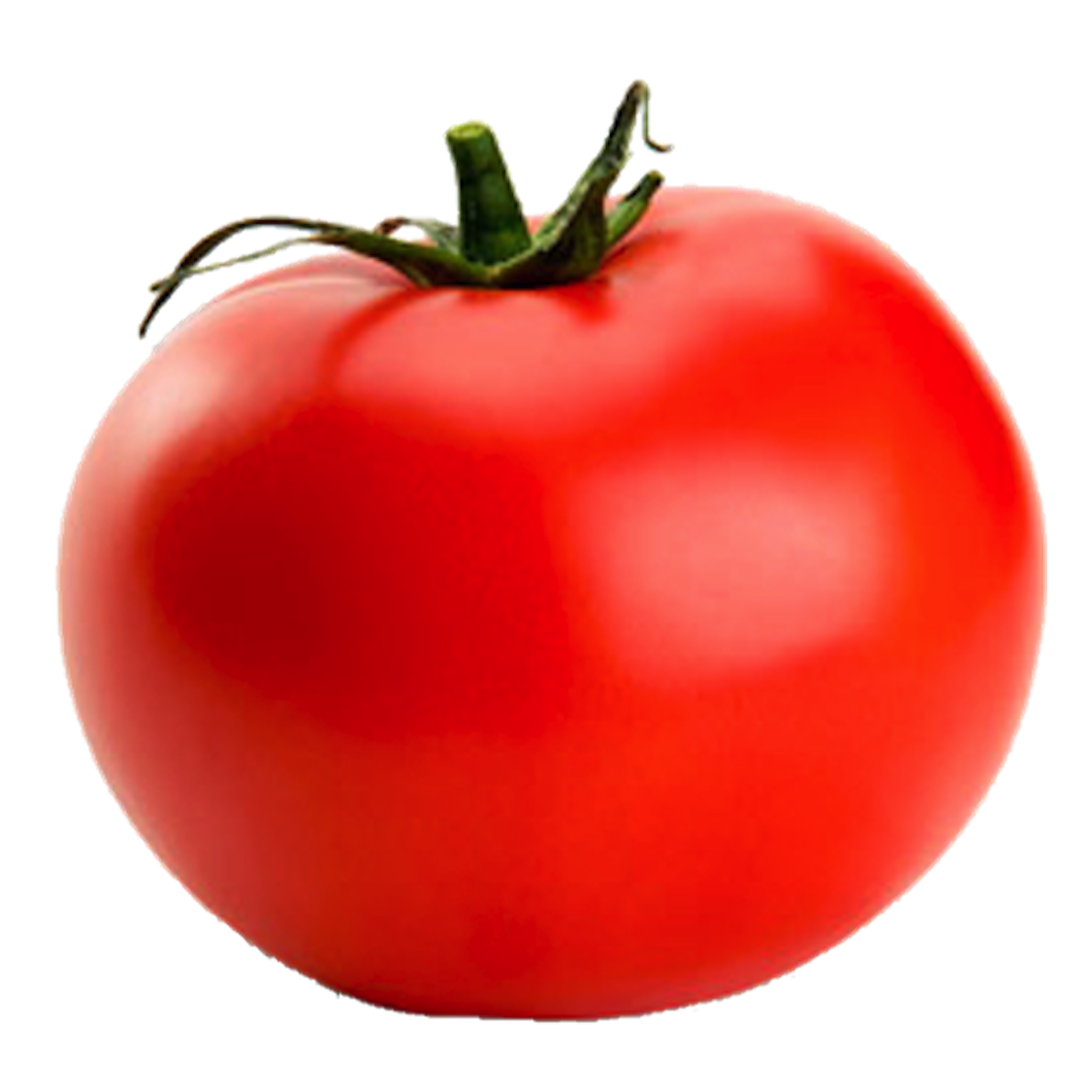 Tomato PNG Picture