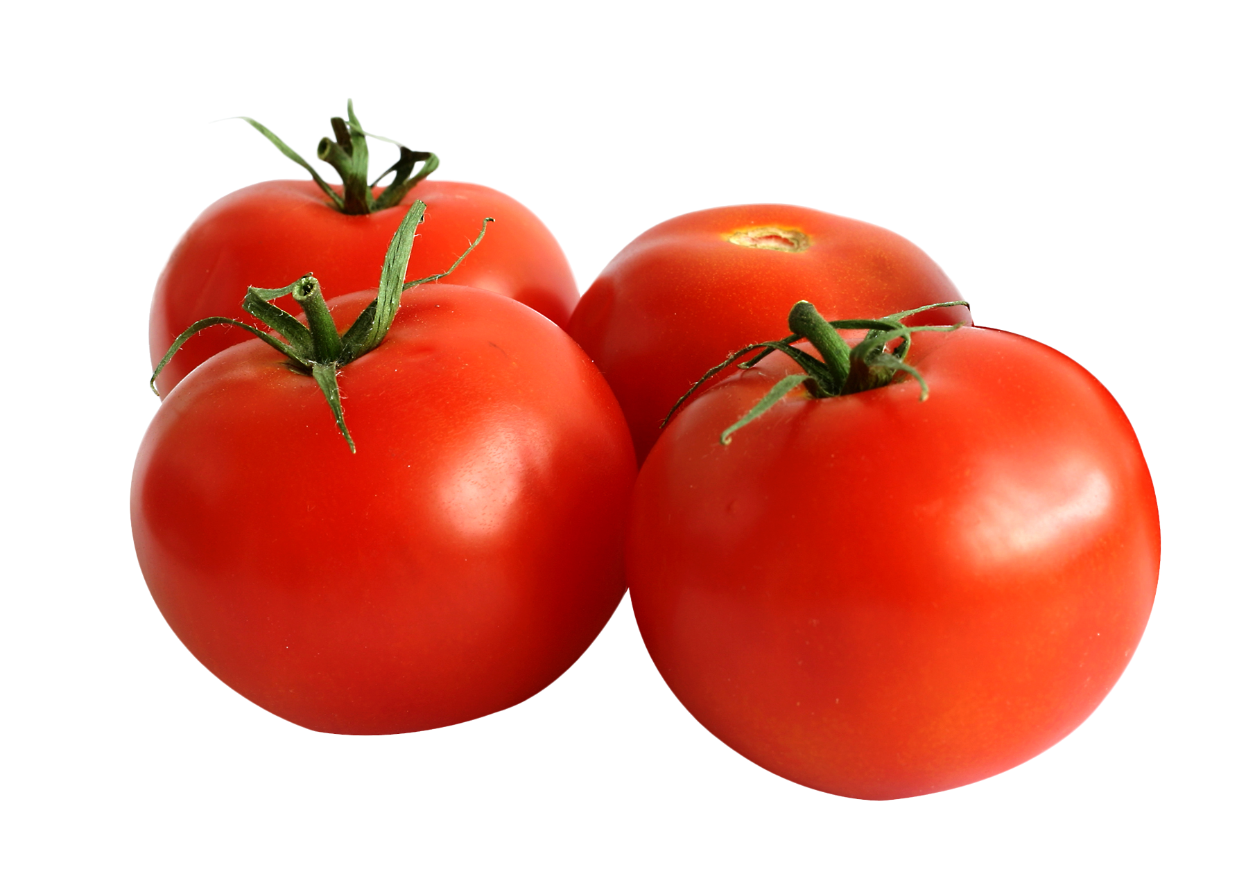 Tomato PNG Image in High Definition