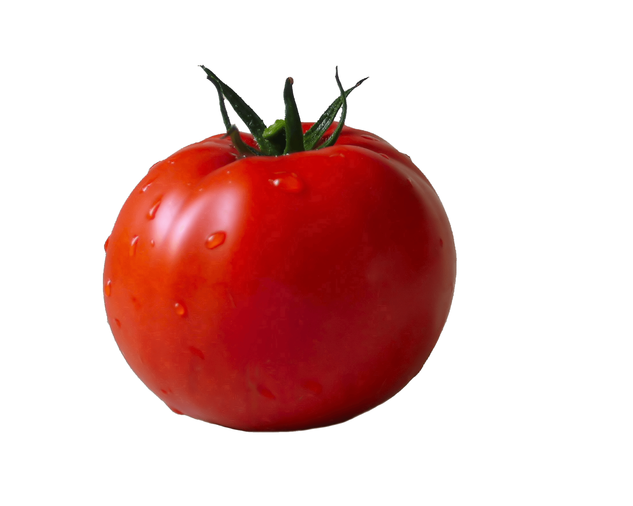 Tomato PNG HQ Image