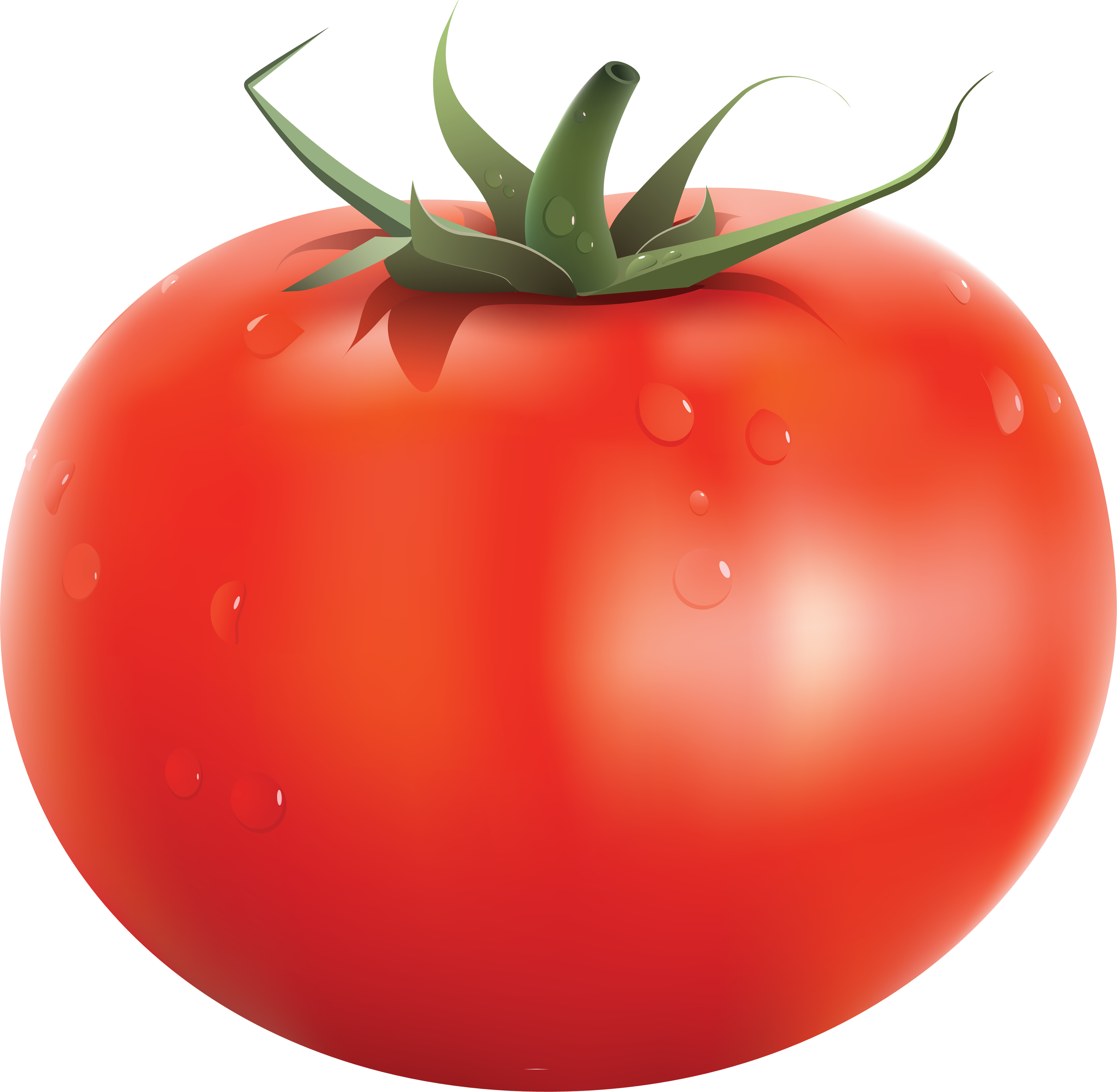 Tomato PNG Photo