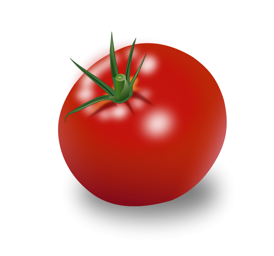Tomato PNG Transparent pngteam.com