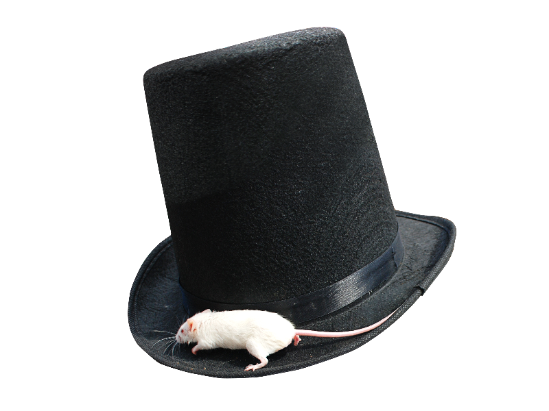 Top Hat PNG Images pngteam.com