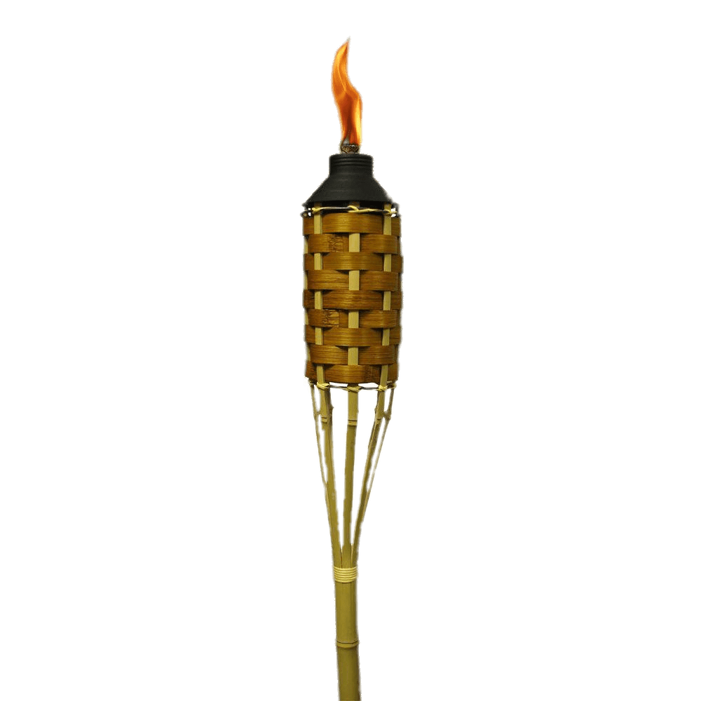 Torch PNG HQ pngteam.com