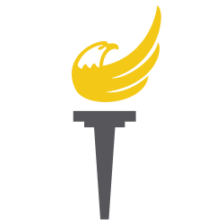 Torch PNG HD and Transparent