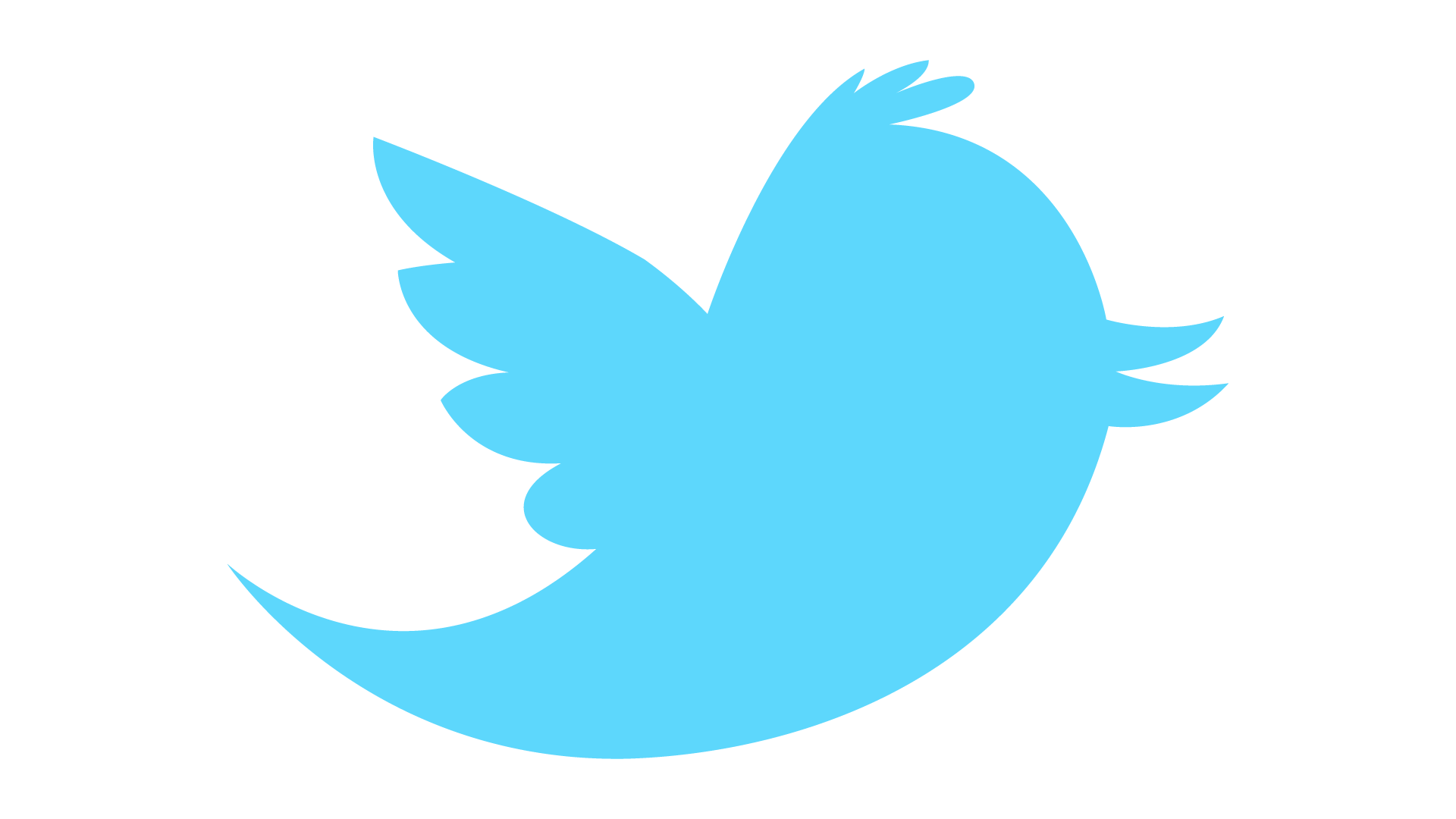 Twitter PNG HD - Twitter Png