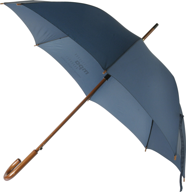 Umbrella PNG Picture - Umbrella Png