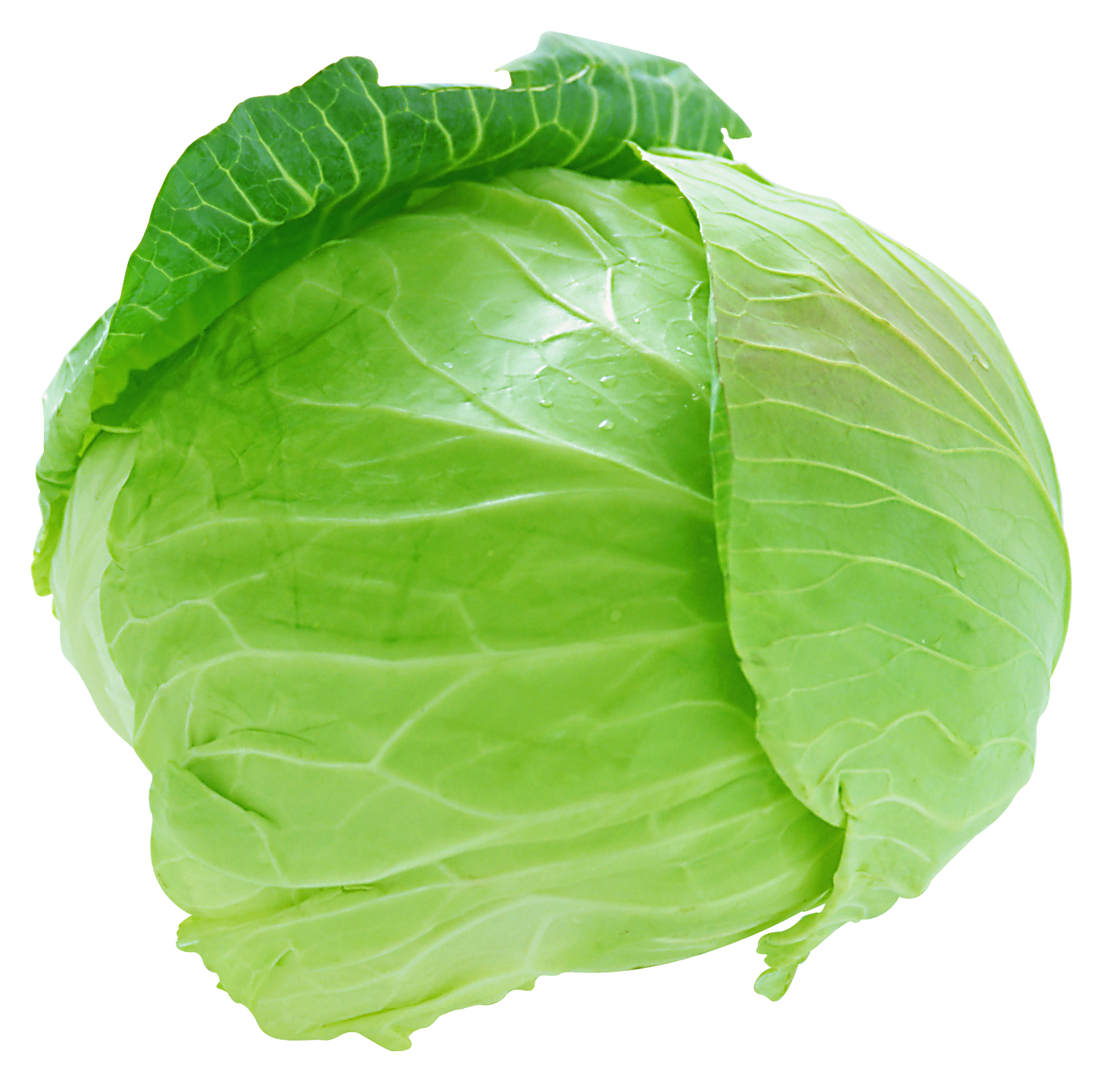 Vegetable PNG High Definition Photo Image pngteam.com