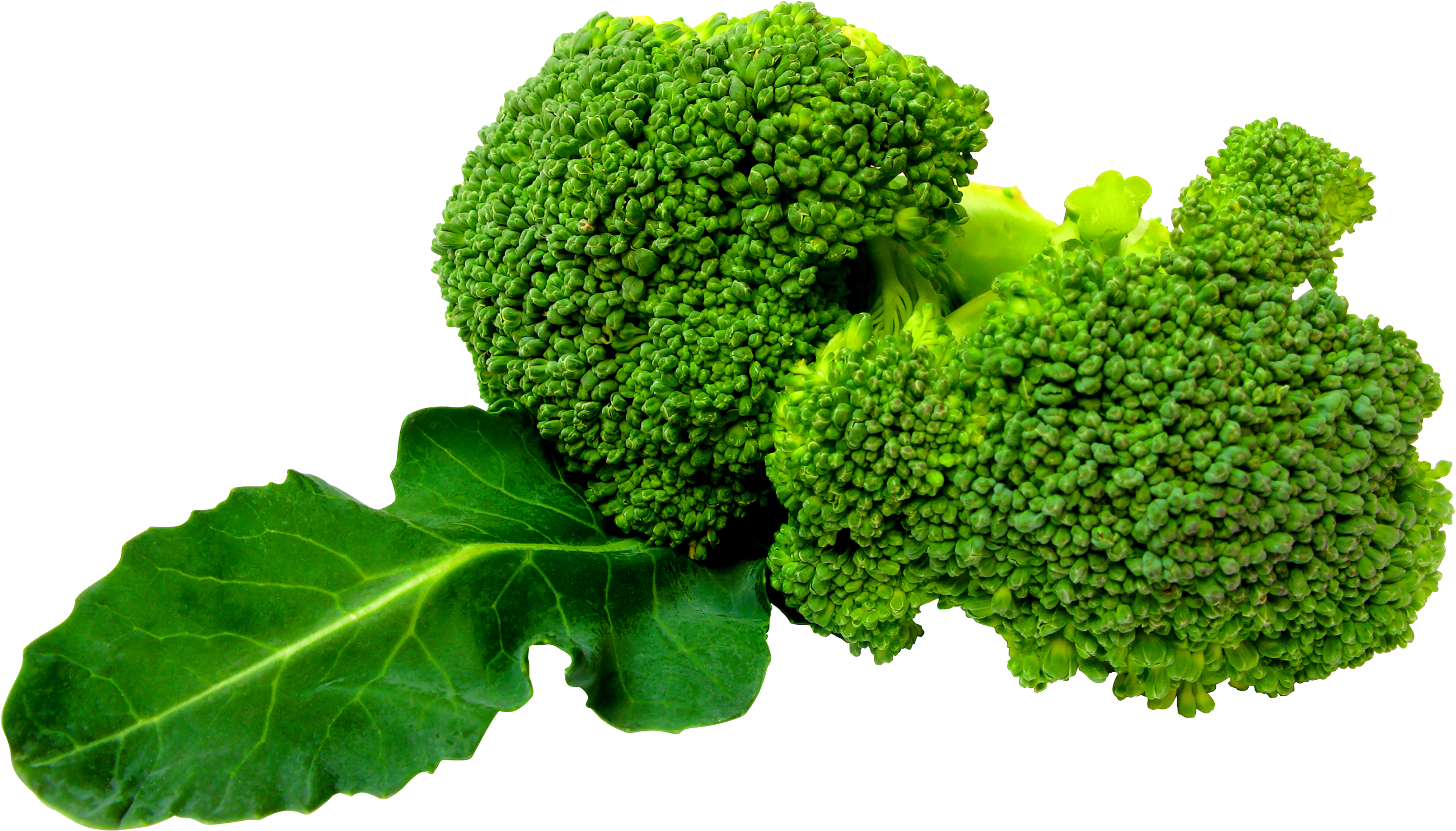 Vegetable PNG HD and Transparent pngteam.com
