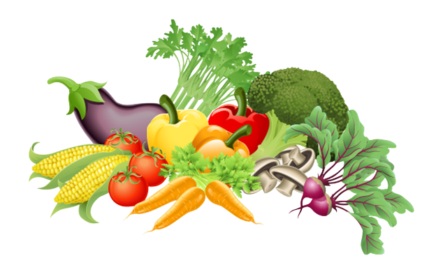 Vegetable PNG pngteam.com