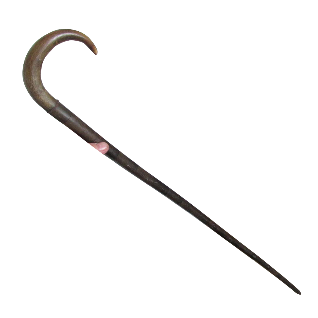 Walking Stick Cane PNG Transparent pngteam.com