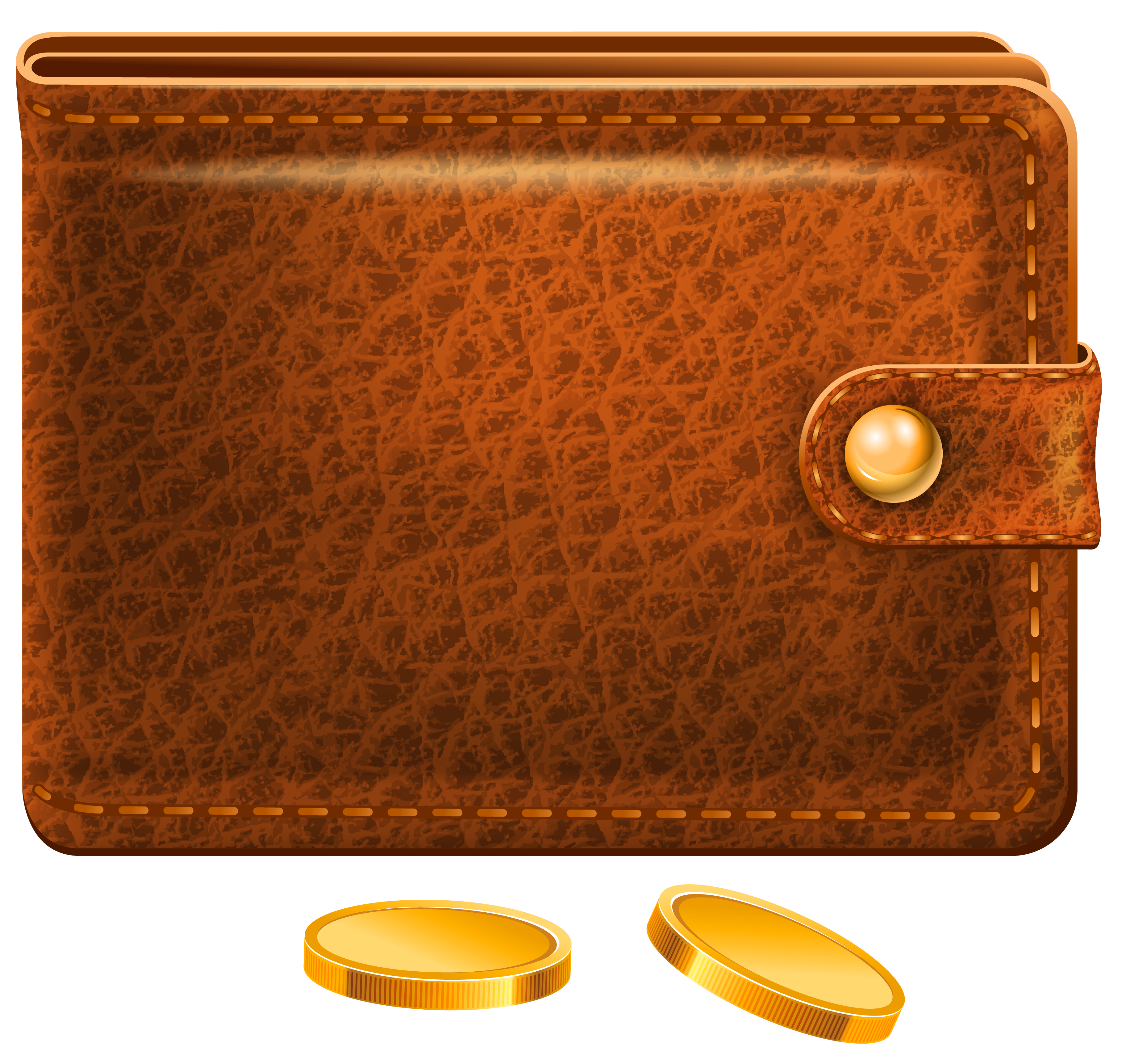 Wallet and Coins PNG HQ