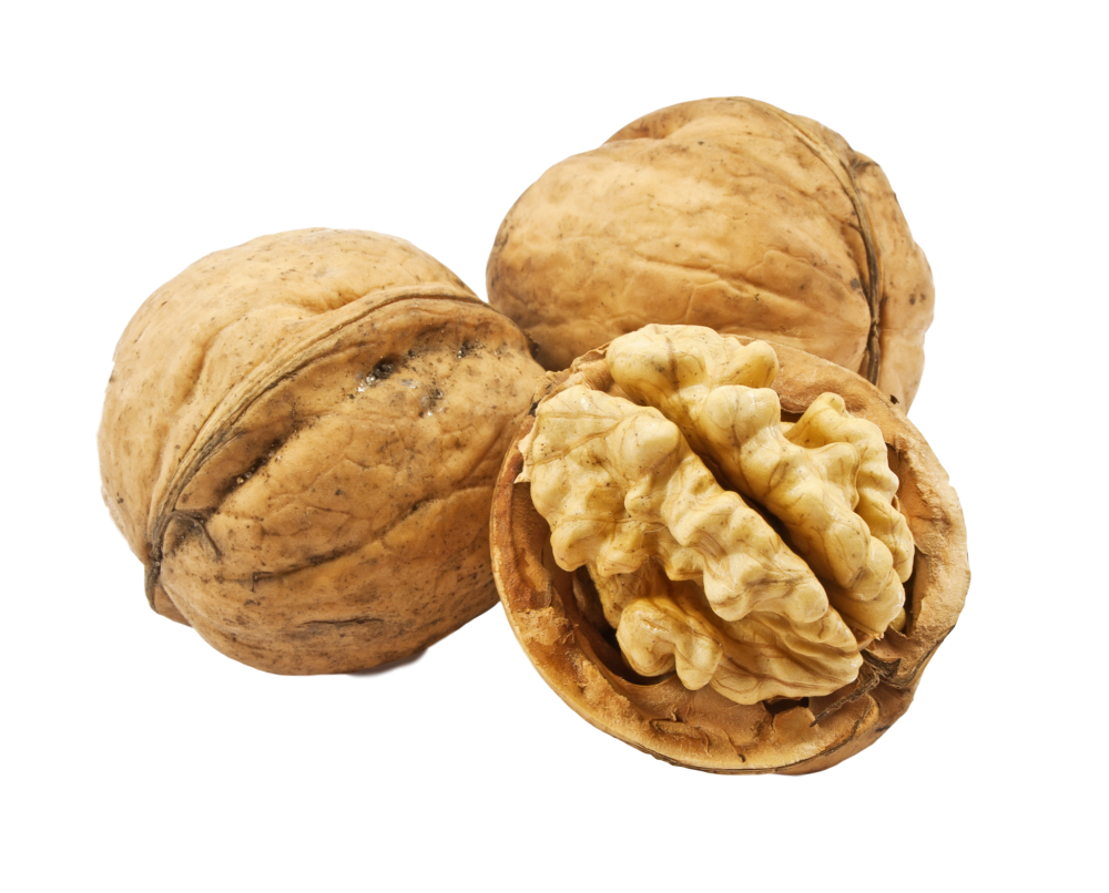 Walnut PNG HQ Image - Walnut Png