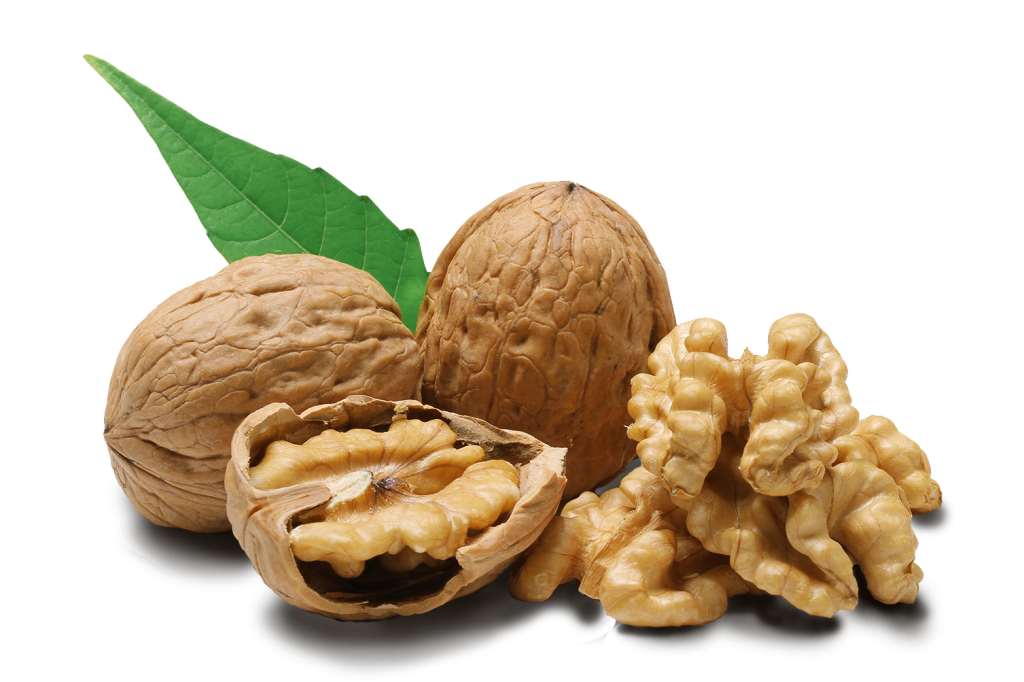 Walnut PNG Transparent - Walnut Png