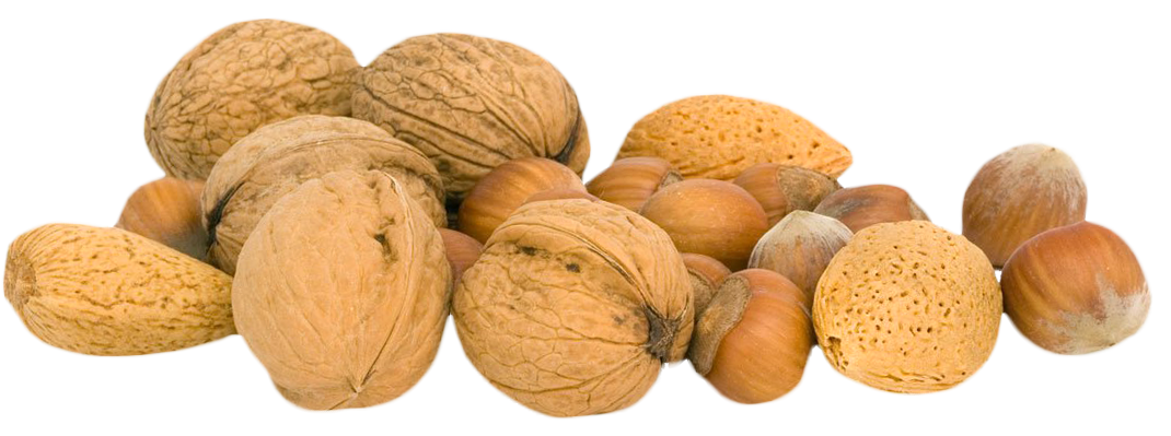 Walnut PNG Images pngteam.com