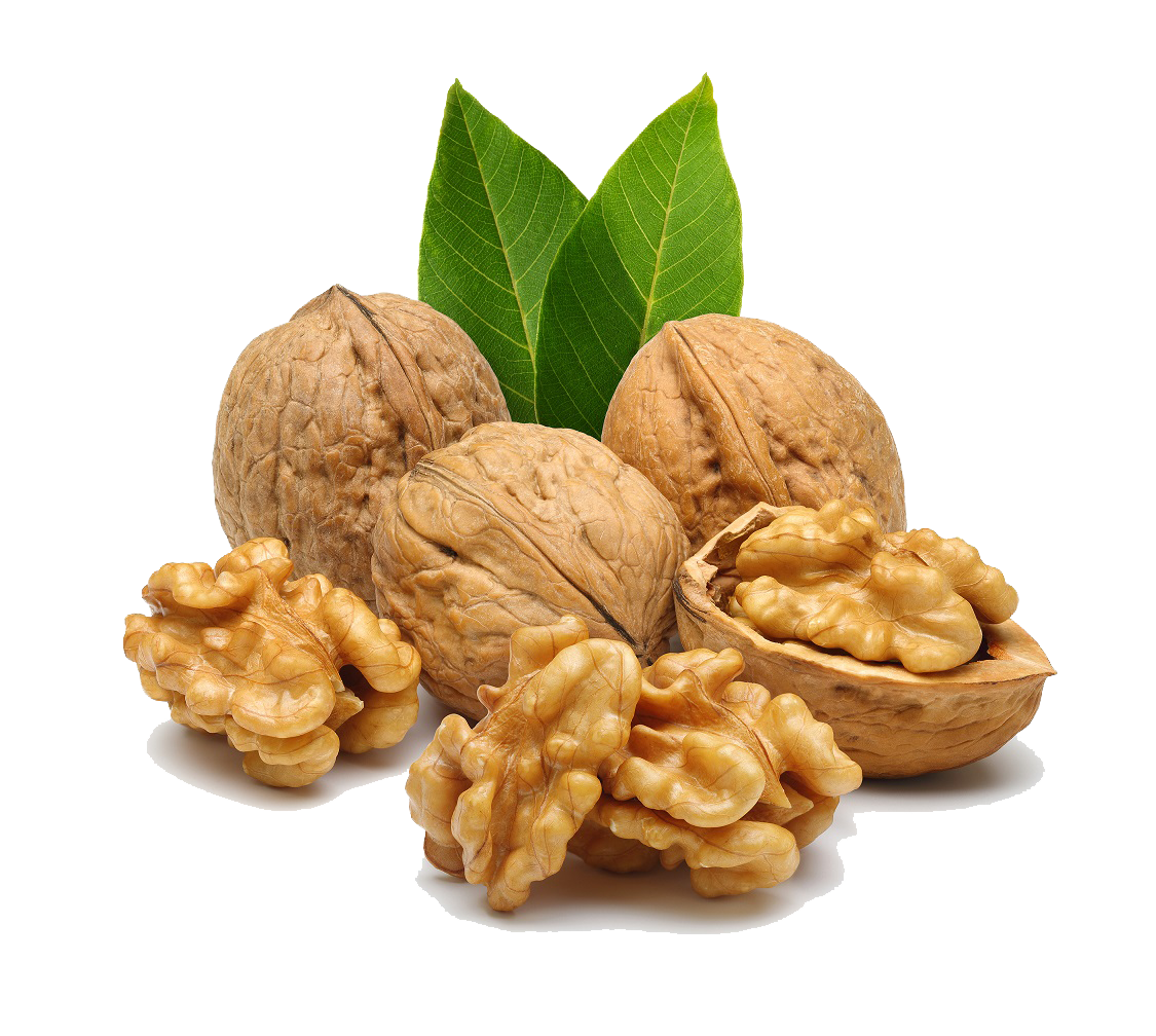 Walnut PNG File