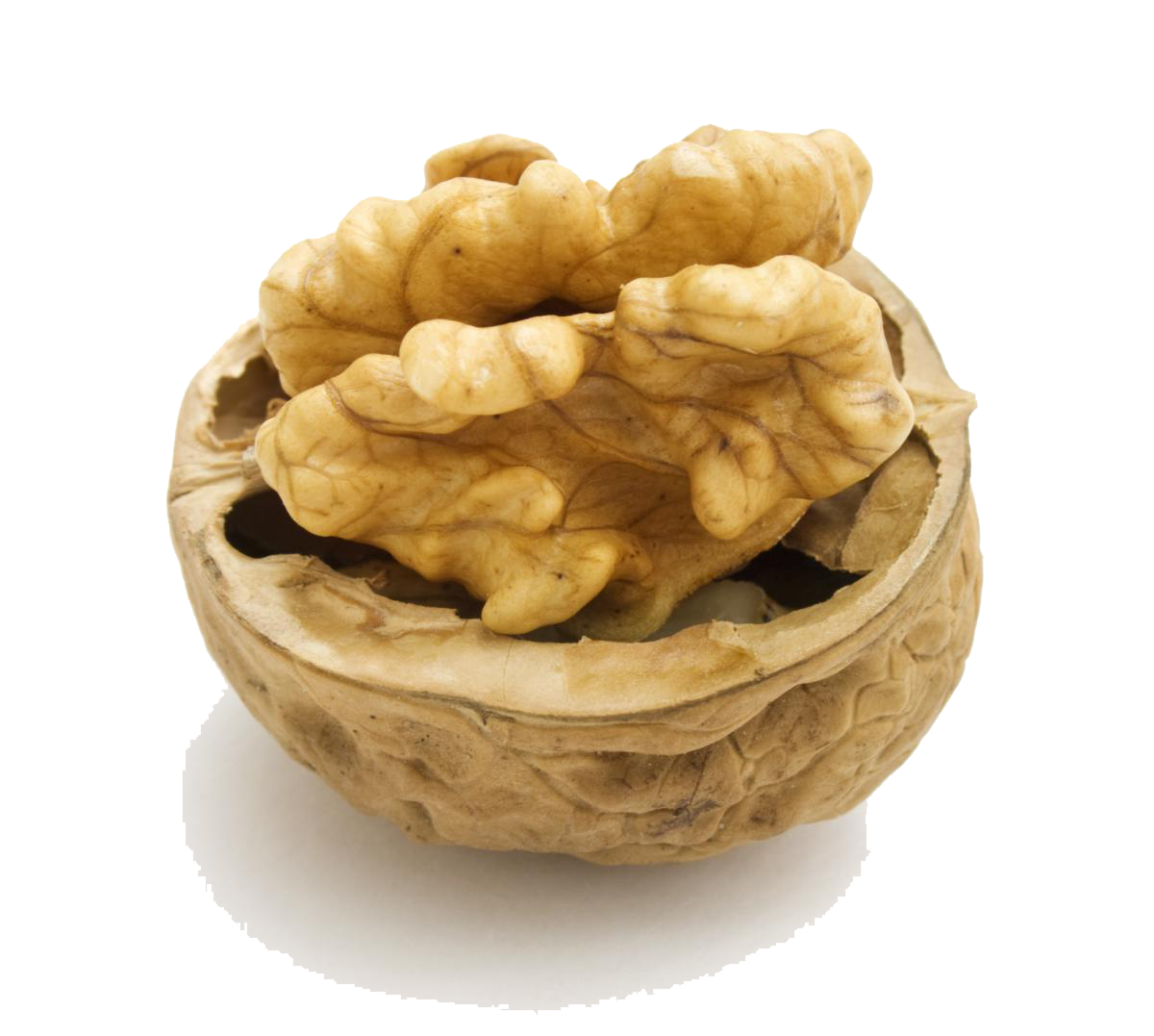 Walnut PNG HD pngteam.com