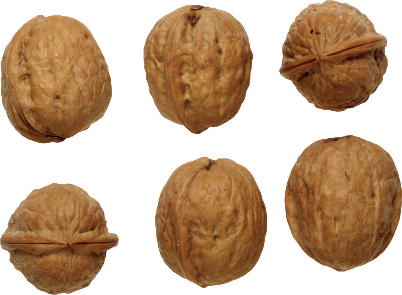 Walnut PNG Image in High Definition - Walnut Png