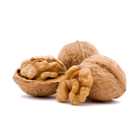 Walnut PNG High Definition Photo Image pngteam.com