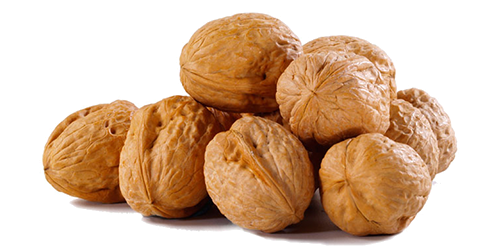 Walnut PNG Transparent - Walnut Png