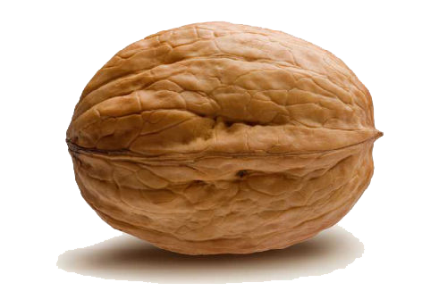 Walnut PNG HD - Walnut Png