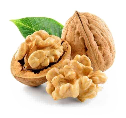 Walnut PNG HD pngteam.com