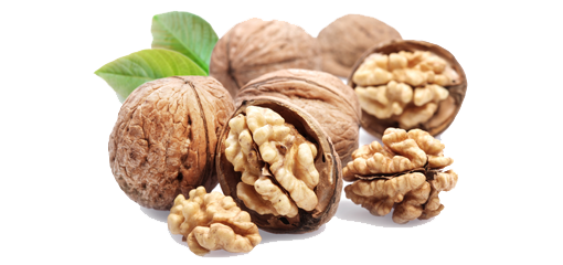 Walnut PNG HD and Transparent - Walnut Png