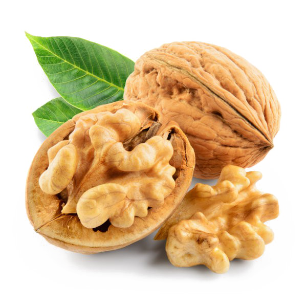 Walnut PNG in Transparent pngteam.com