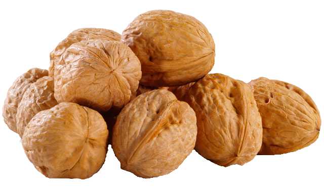 Walnut PNG Photo pngteam.com