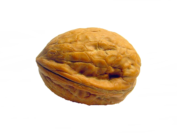 Walnut PNG HD Images - Walnut Png