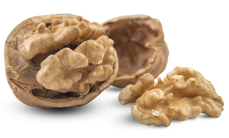 Walnut PNG File - Walnut Png