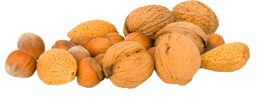 Walnut PNG Photo - Walnut Png