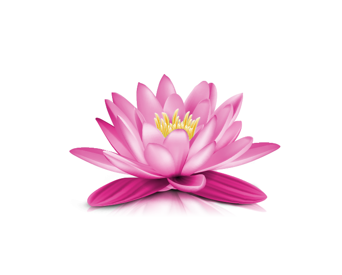 Pink Water Lily PNG Transparent