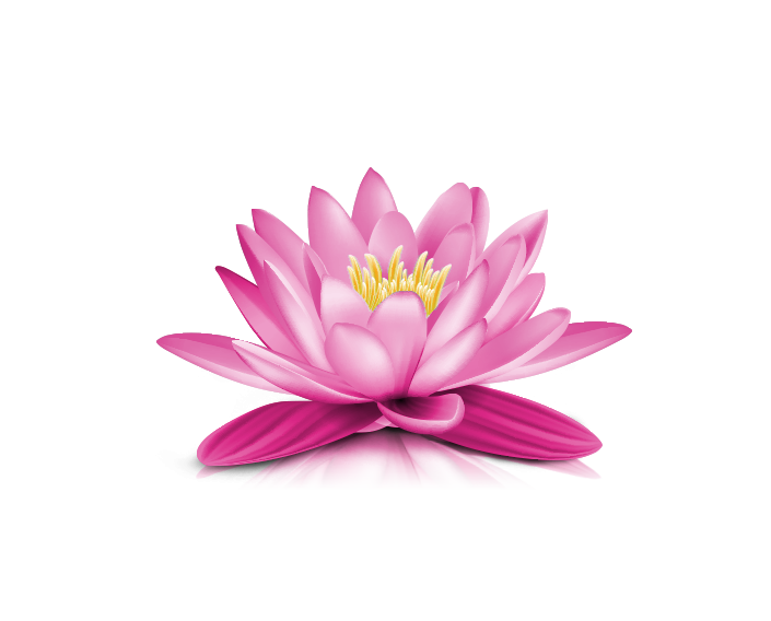 Pink Water Lily PNG Transparent pngteam.com