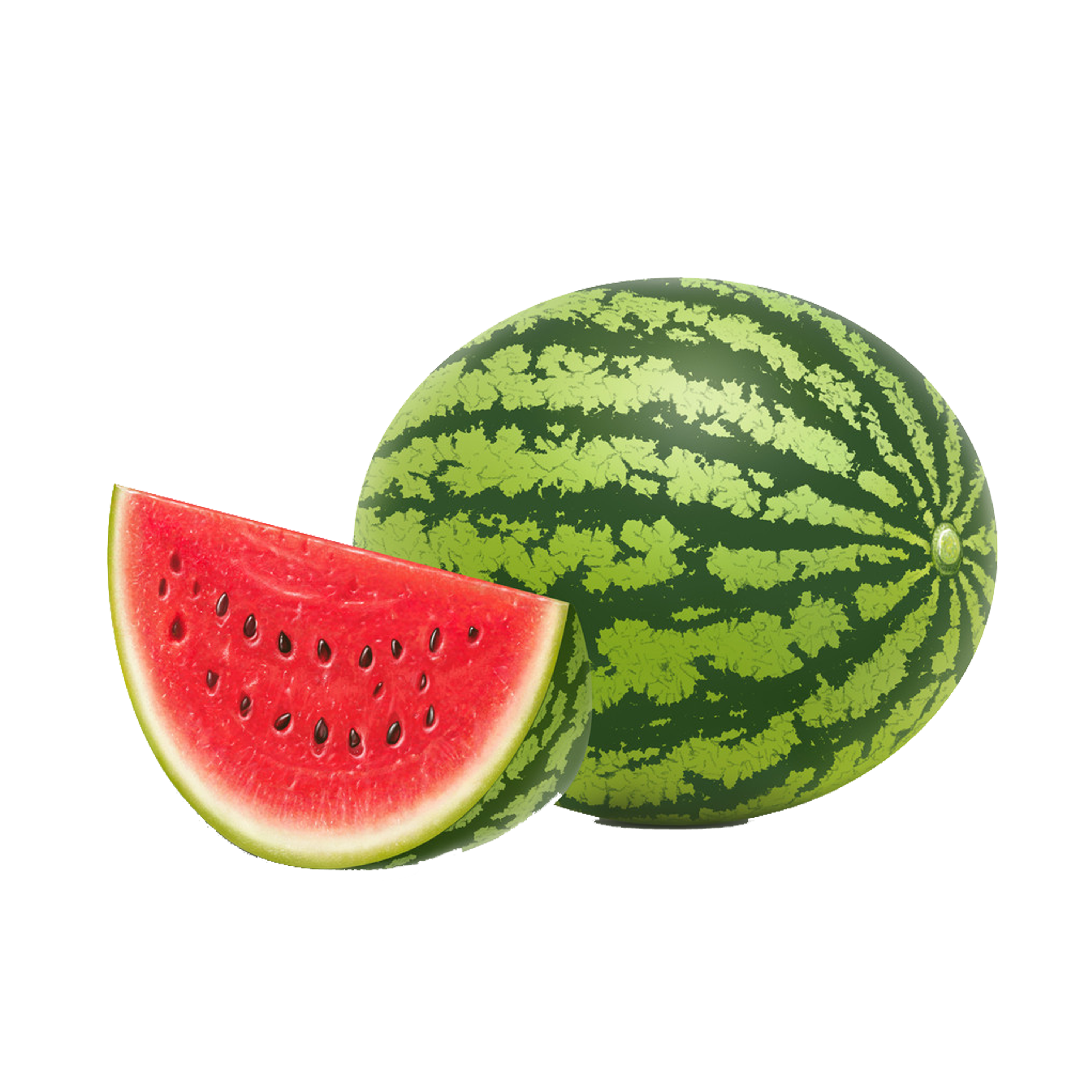 Watermelon Seed PNG Images pngteam.com