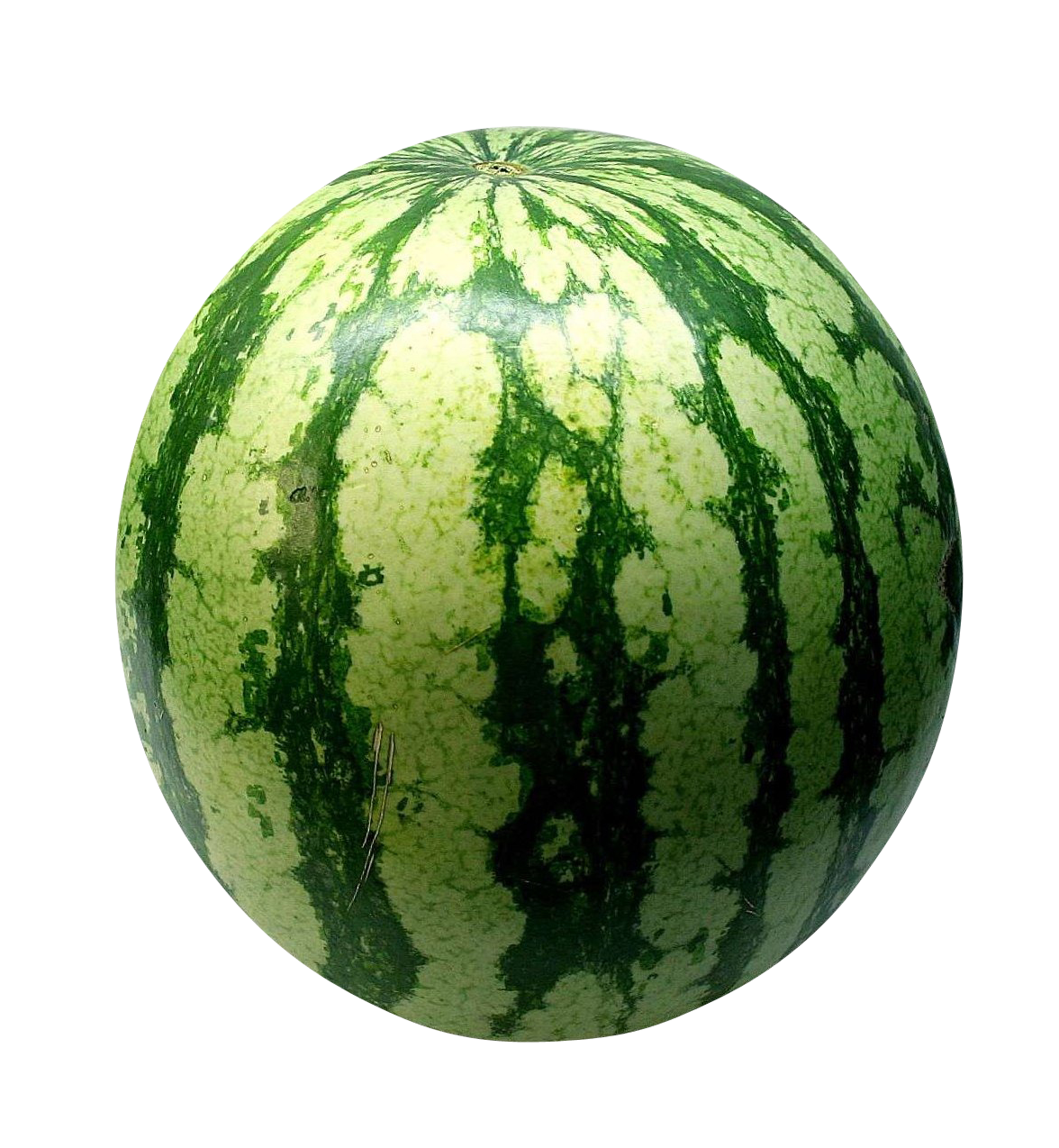 Big Green Watermelon PNG Best Image - Watermelon Png