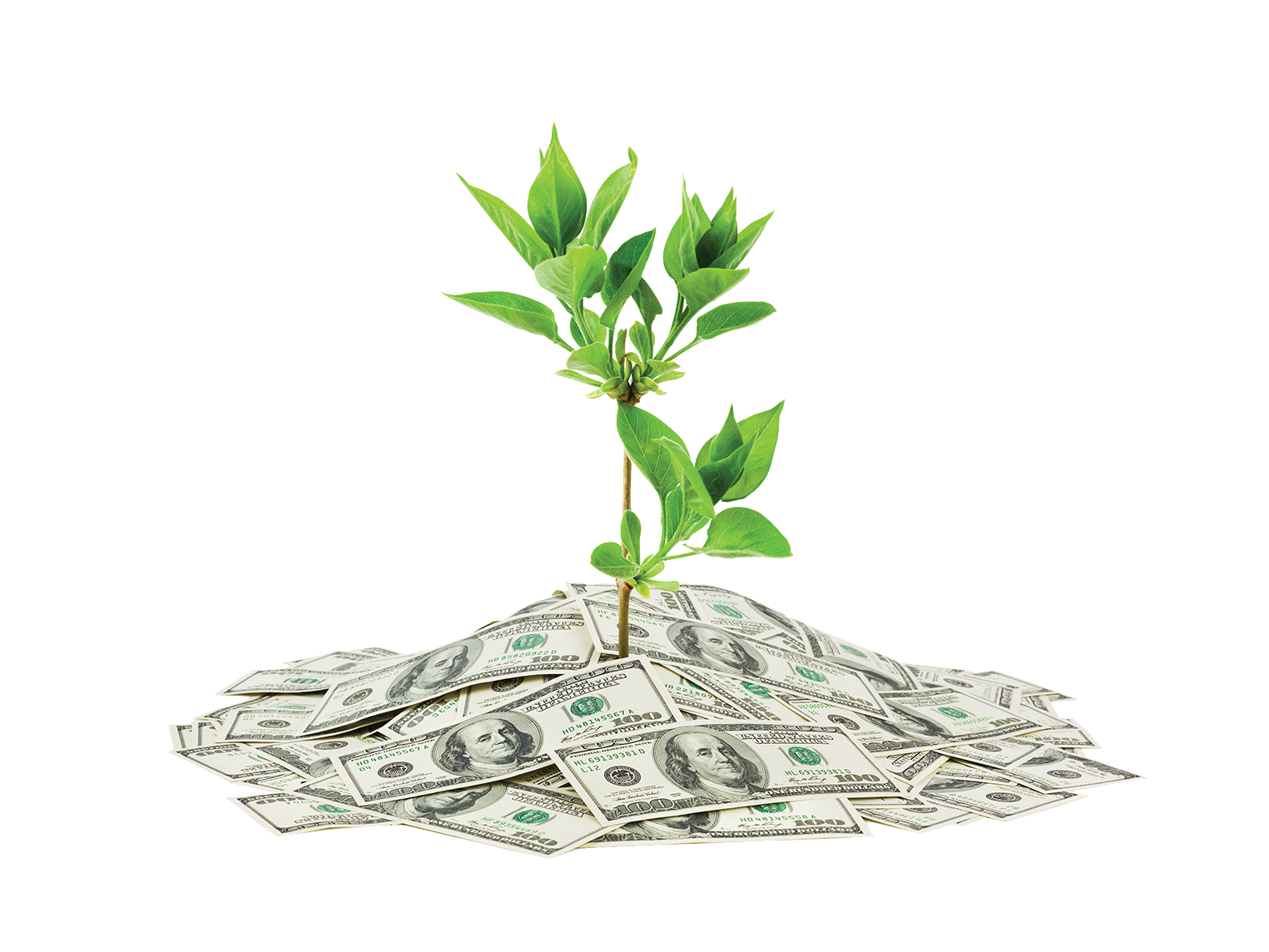 Wealth PNG Picture - Wealth Png