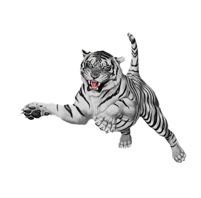 White Tiger Attacking PNG HD File Transparent pngteam.com