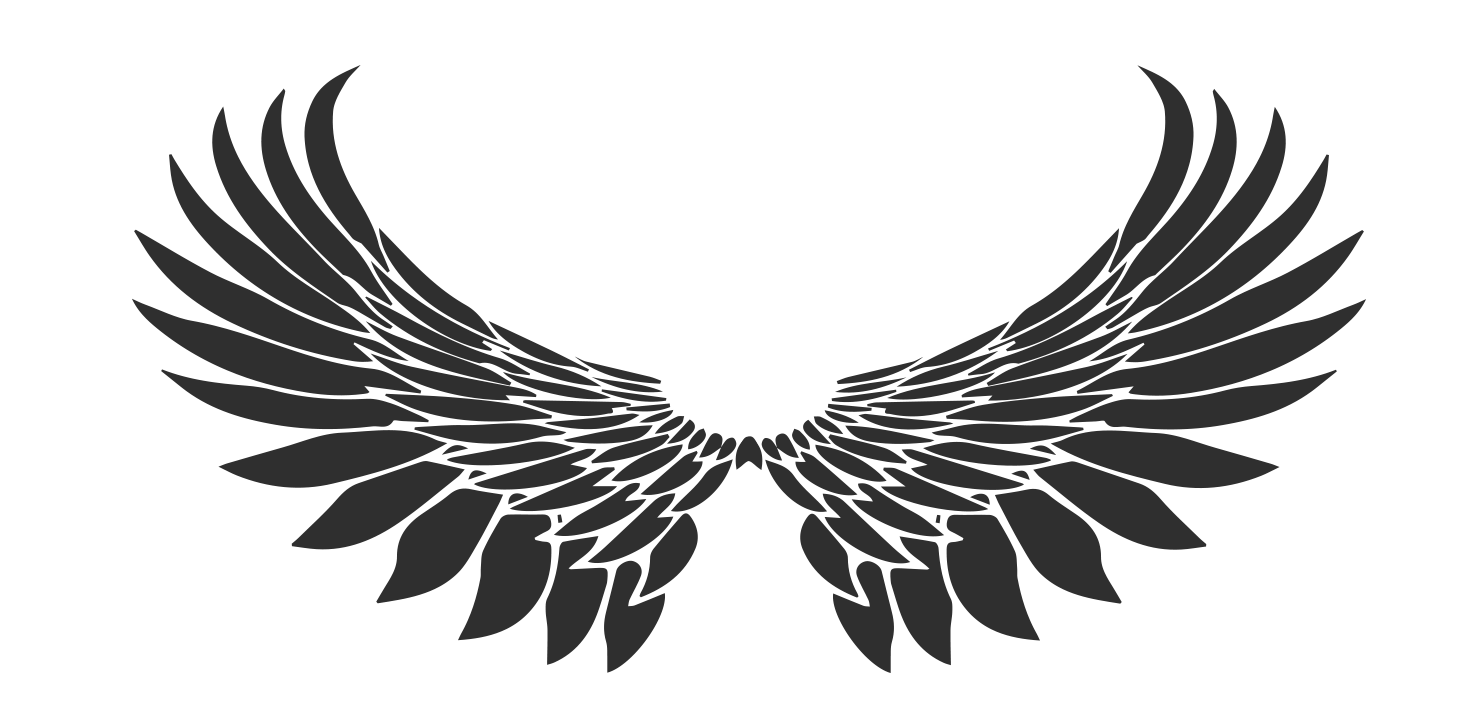Transparent Wings PNG Image in High Definition pngteam.com