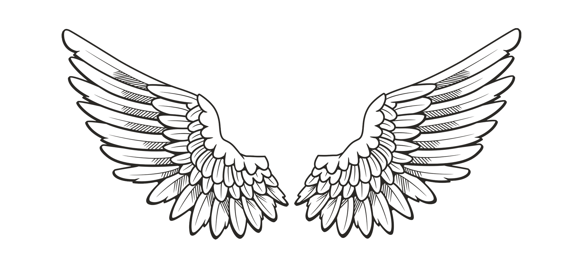 Wings PNG Transparent pngteam.com