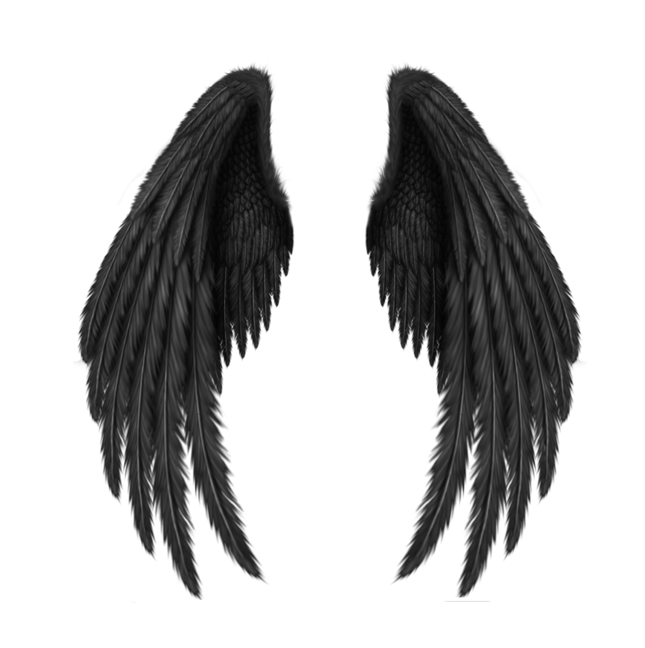 Black Wings PNG