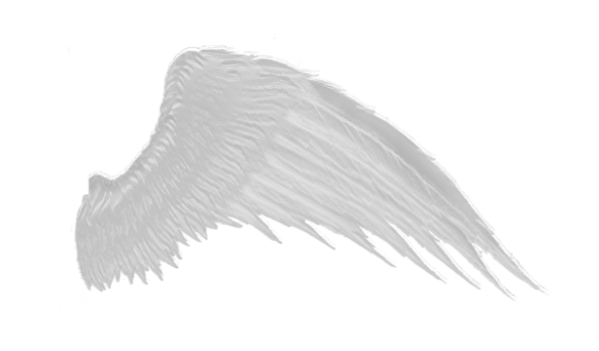 Wings PNG HD and Transparent pngteam.com
